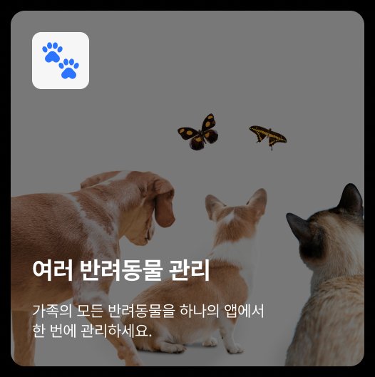 여러 반려동물 관리